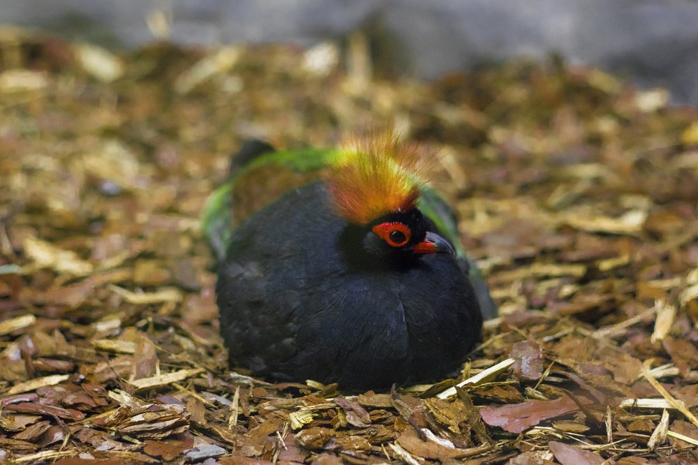 Photograph by Олег