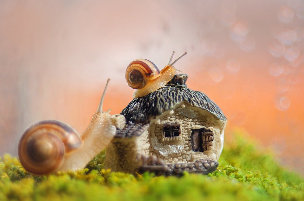 Photograph by Олеся