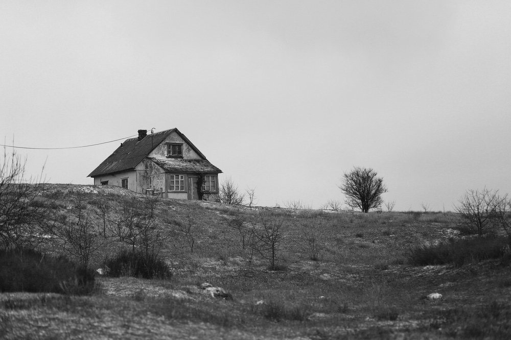 Photograph by Елена Шпагина