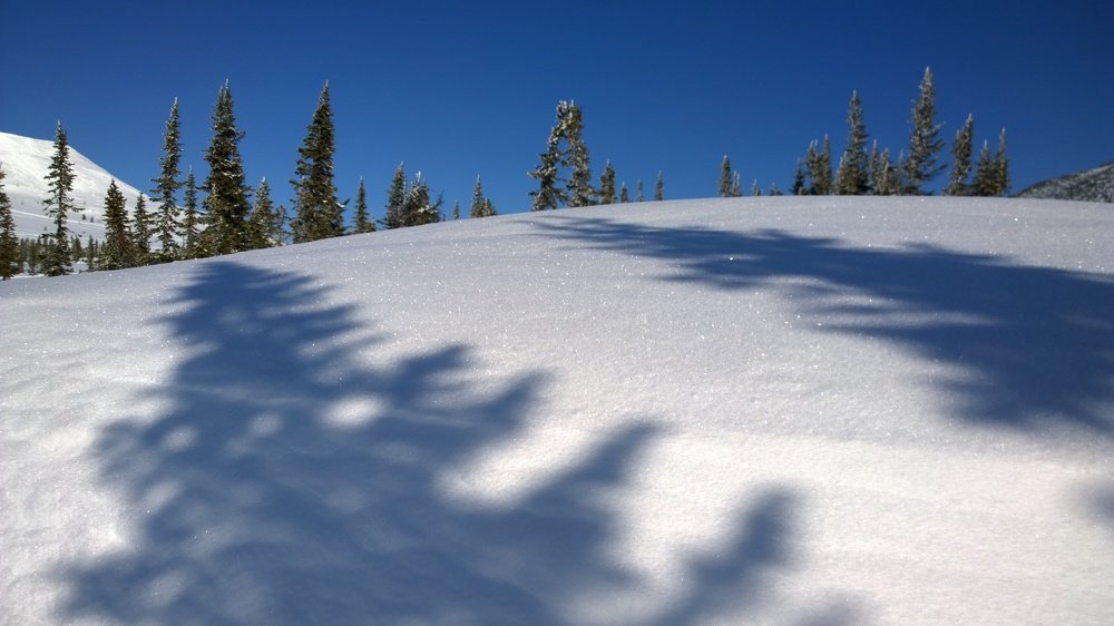 Зимняя сказка