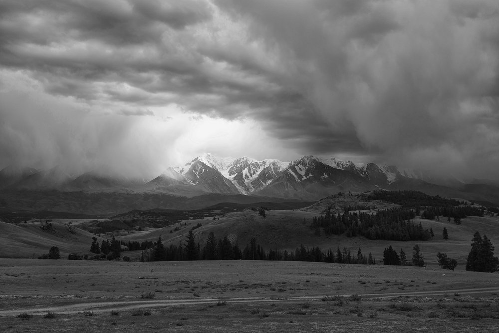 Курайская степь 1