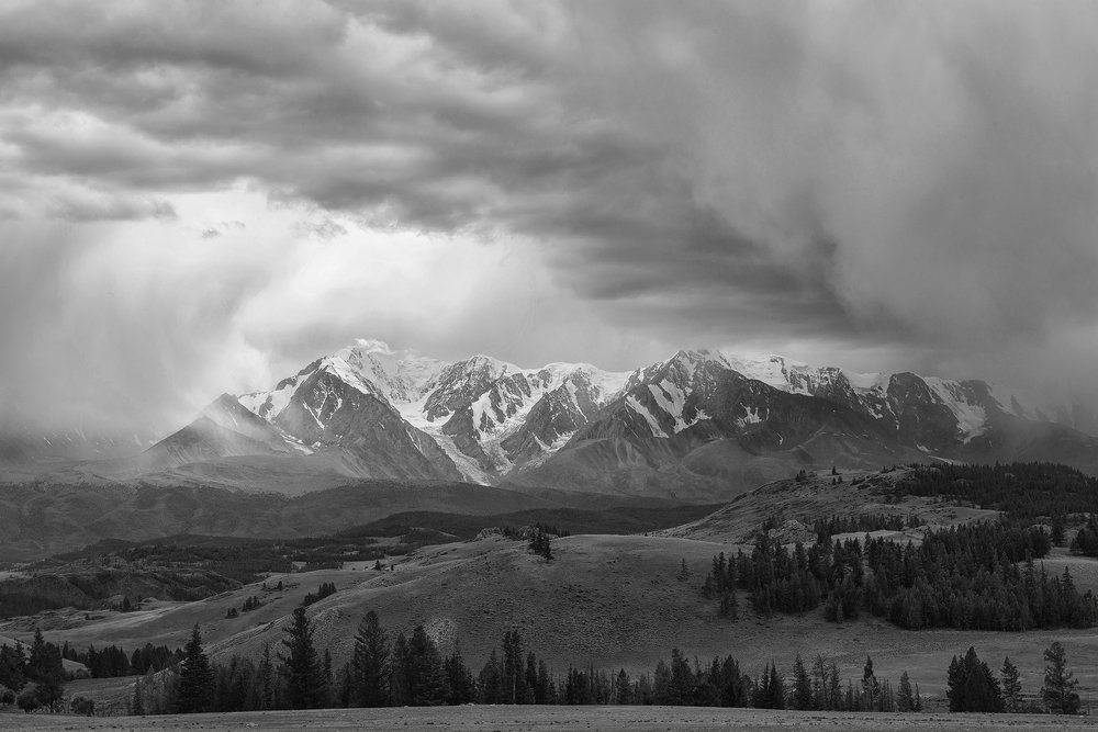 Курайская степь 2