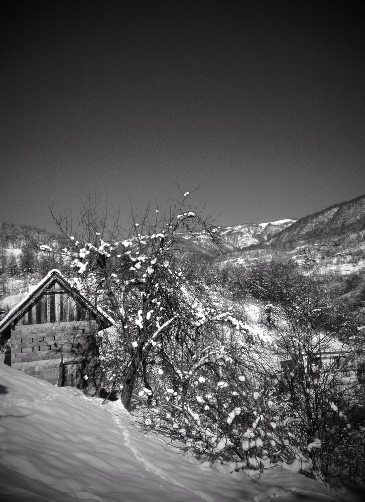 Black and white winter photo