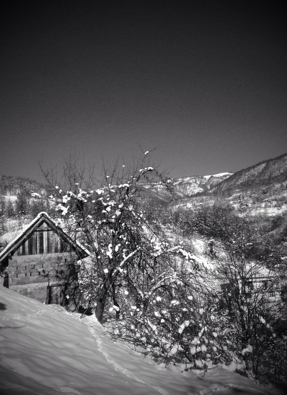 Black and white winter photo
