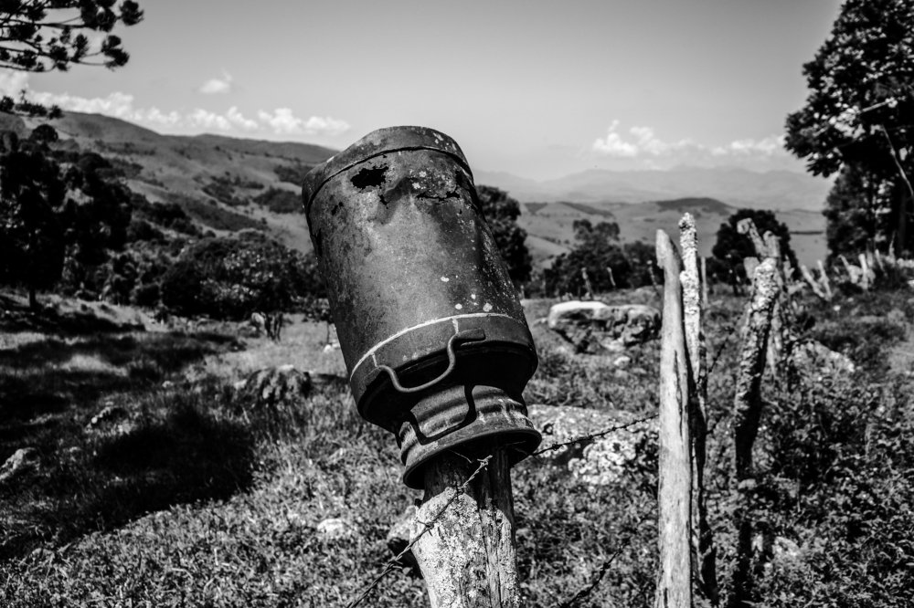 Photograph by Bruno Montine