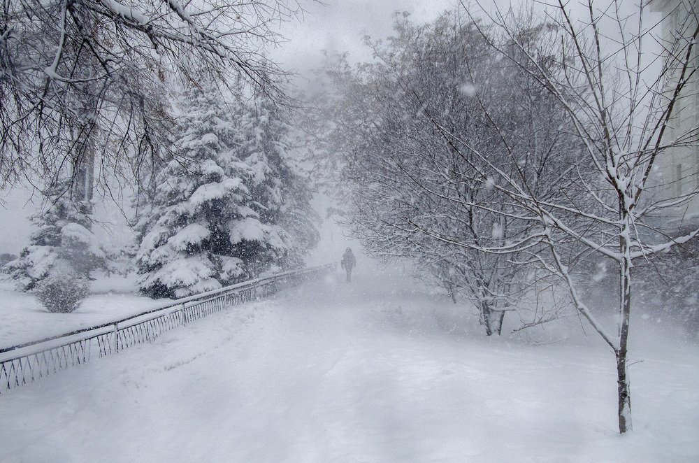 И замело и замело