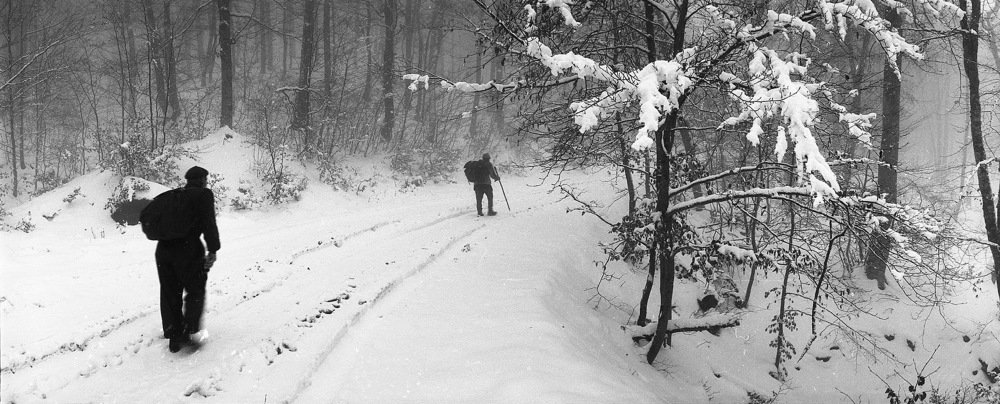 Зимняя дорога