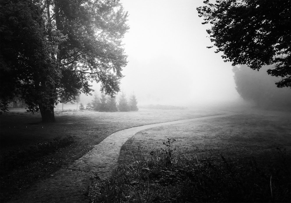 Photograph by Алексей Герасимов