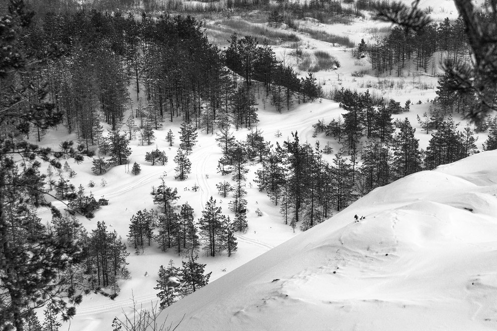 Photograph by Алексей Герасимов