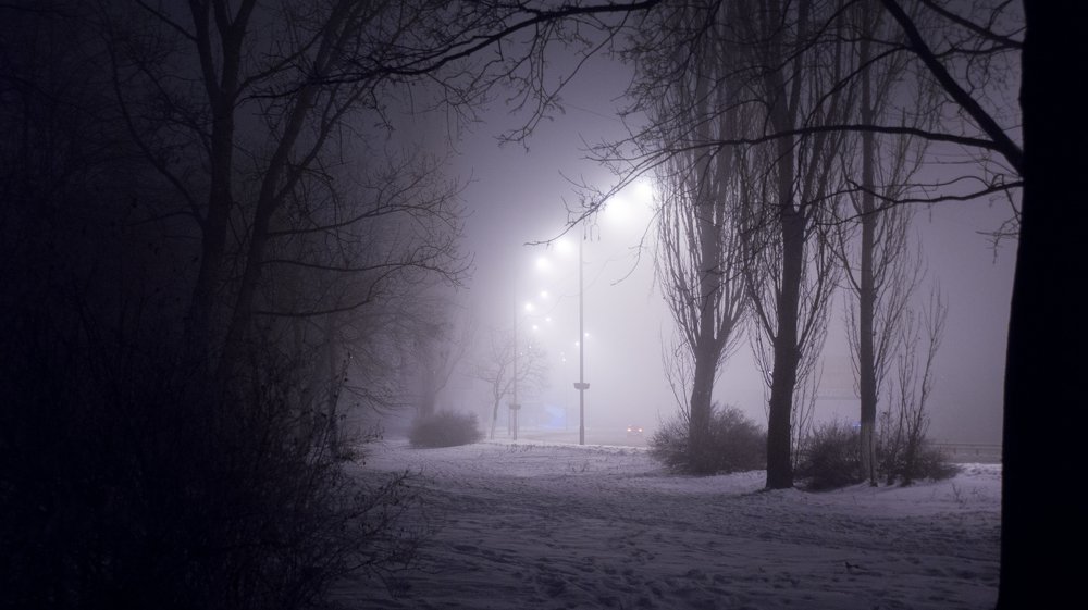 lights in the fog