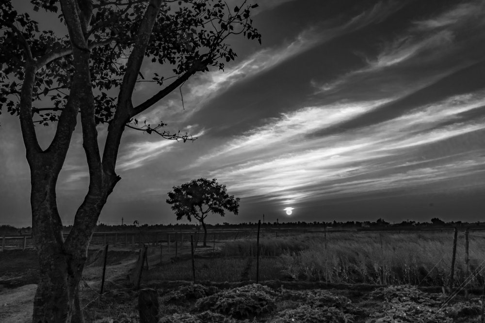 The Black & white Goldenhour