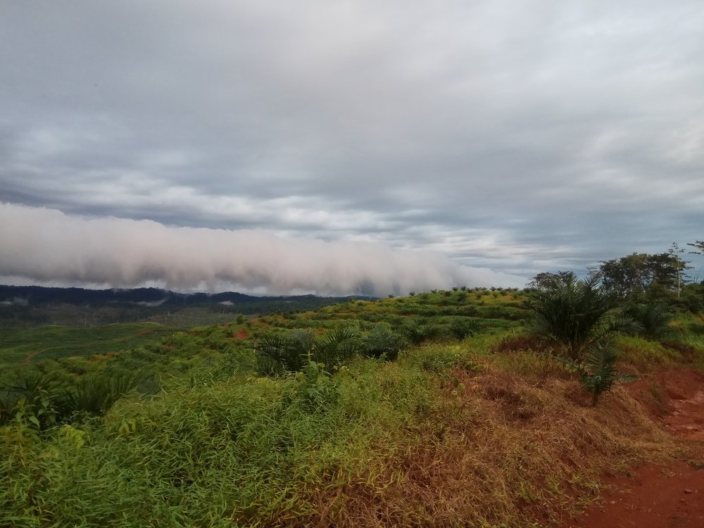 Low Cloud