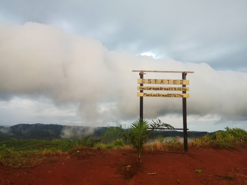 Low Cloud