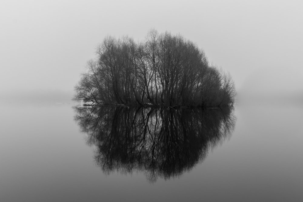 Photograph by Роман Фабричный