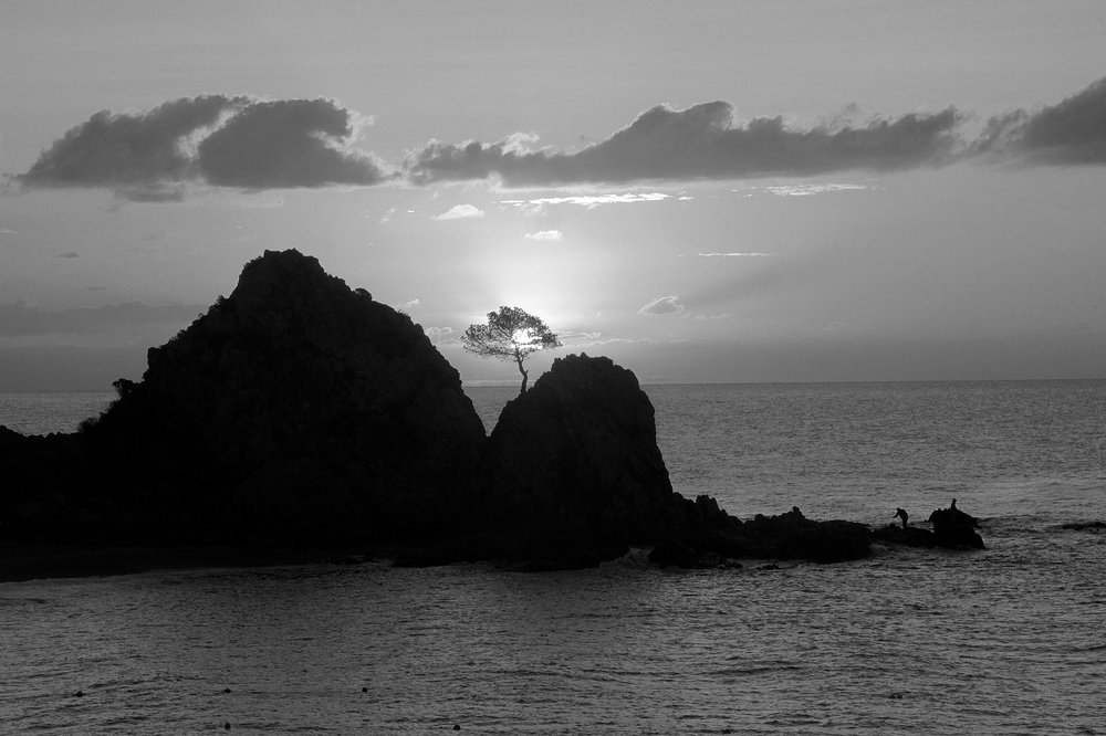 Photograph by Dzianis Mizhui