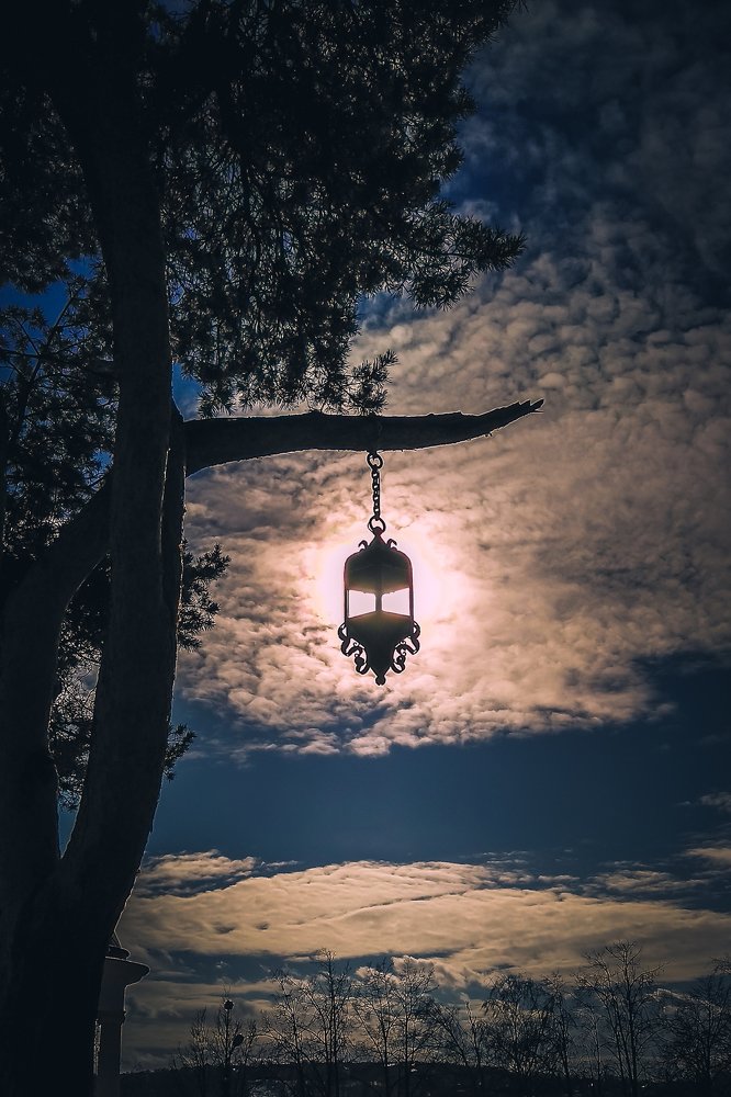 Photograph by Александр Попович