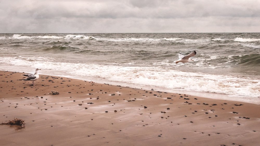 Baltic partings