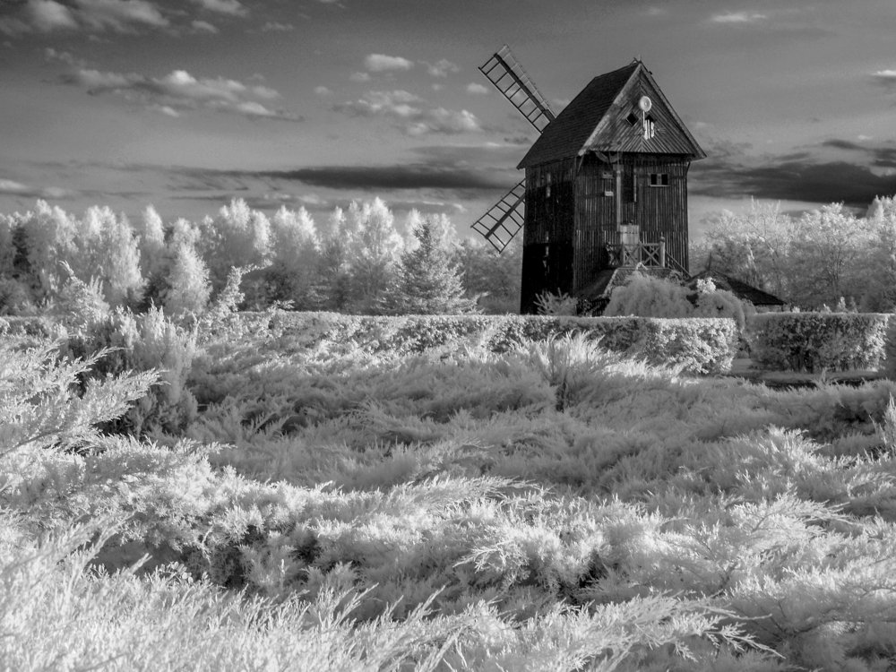 walking on the infrared ( part 11 )2