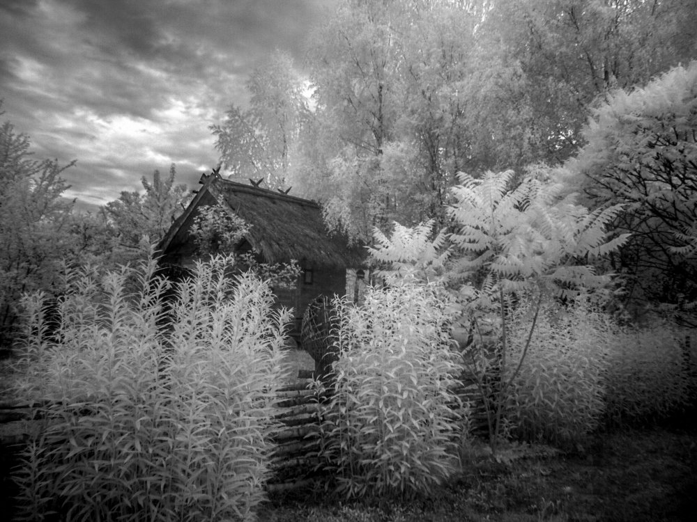 walking on the infrared ( part 13 )