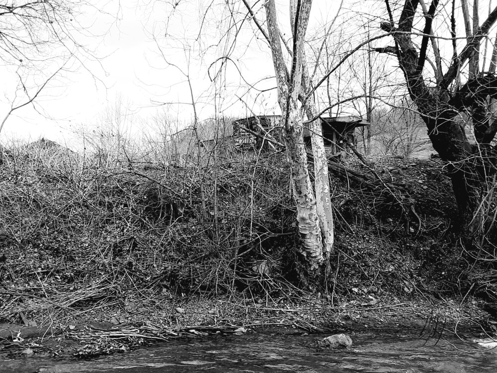 Photograph by Lindsay Fulmer
