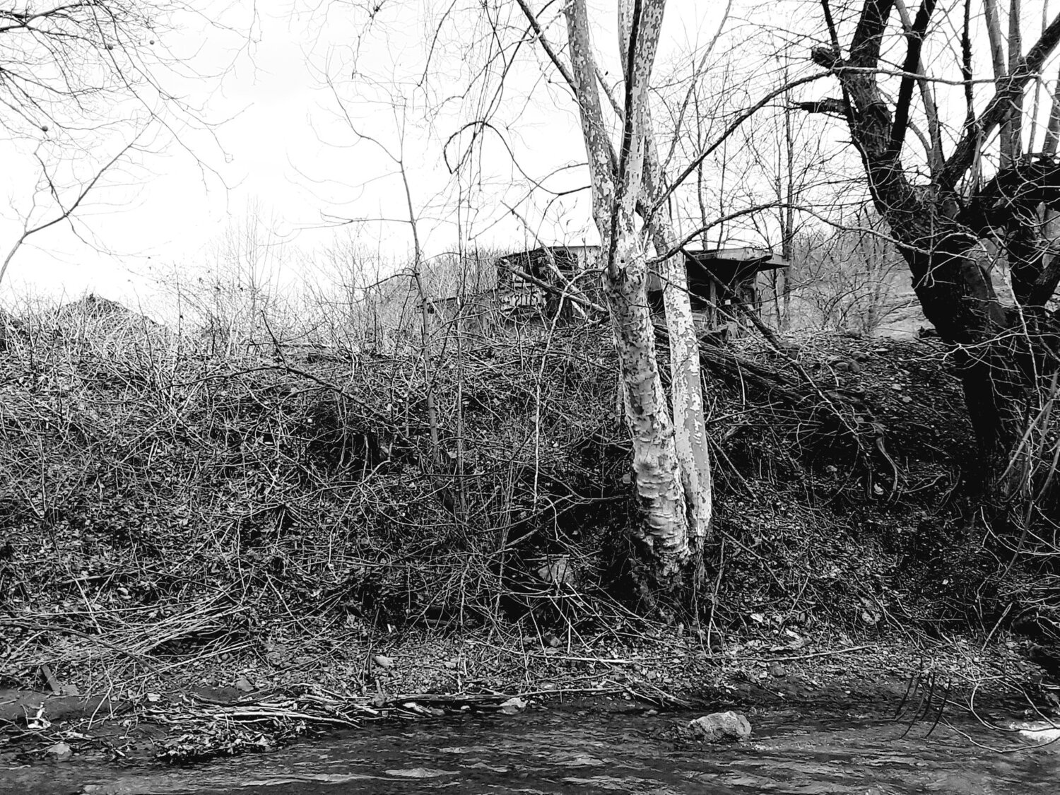 Photo #3130273
