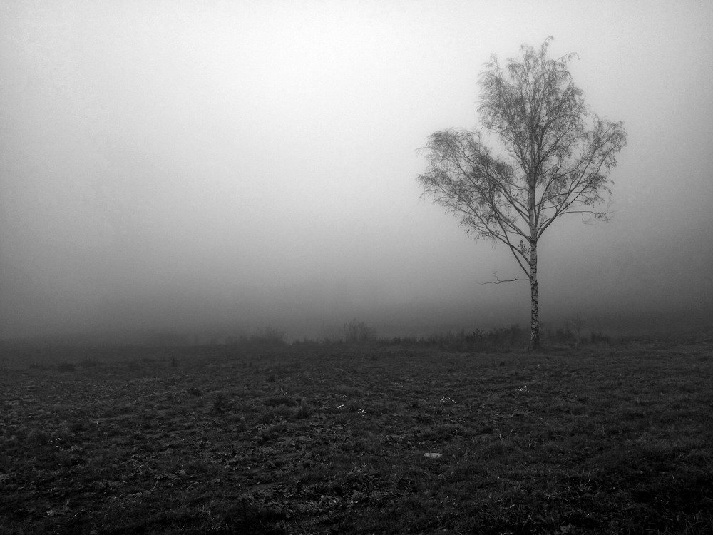 Одиночество