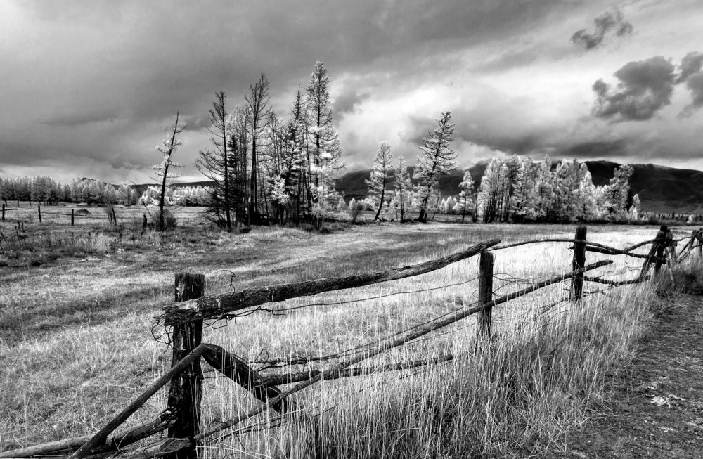 Путешествие по Горному Алтаю