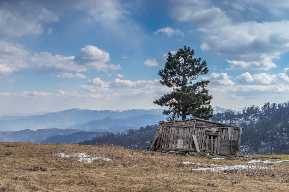 Place where we live.