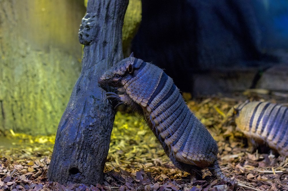 Photograph by Олег