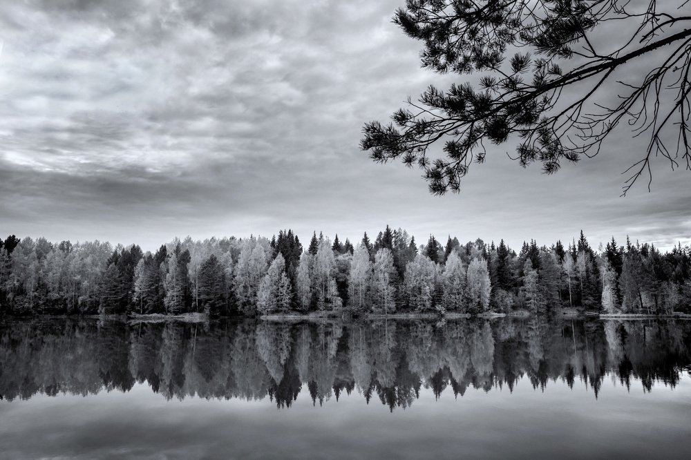 Тихая заводь / Backwater