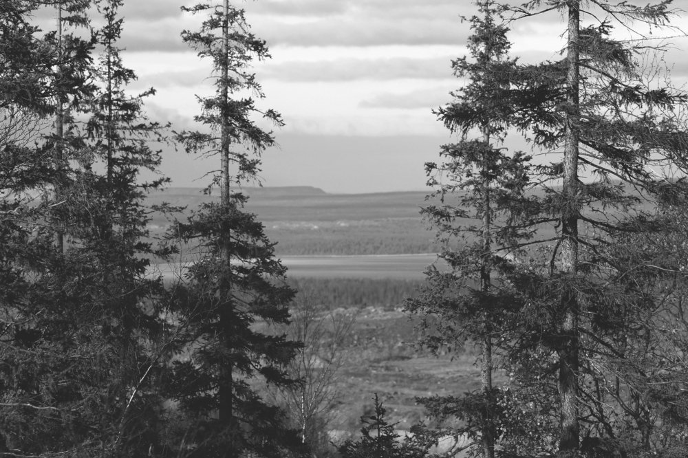 Северный край