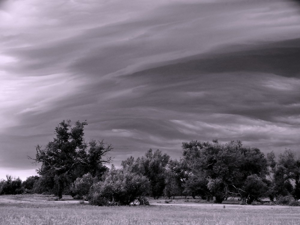 Перед грозой