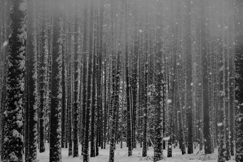 Зимний лабиринт.