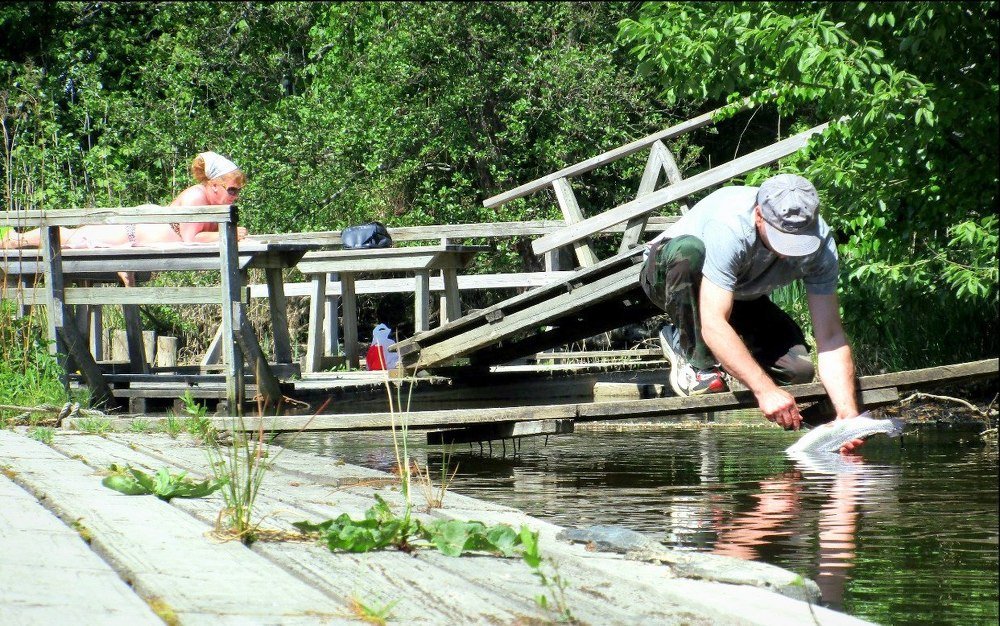 Finnish weekend / Финские выходные...