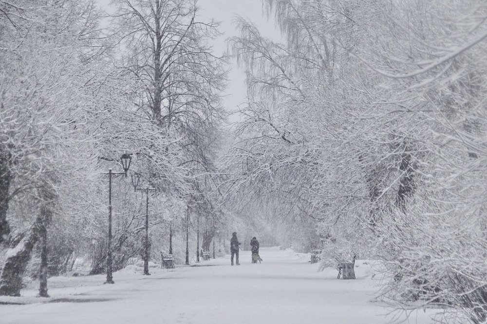 Последнее мартовское утро.