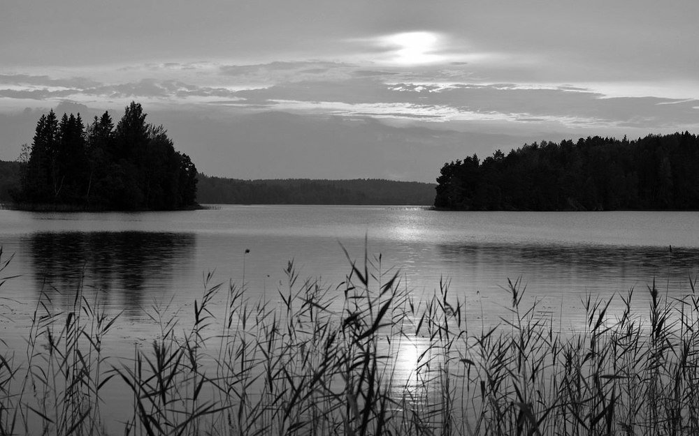 Evening on the lake / Вечер на озере