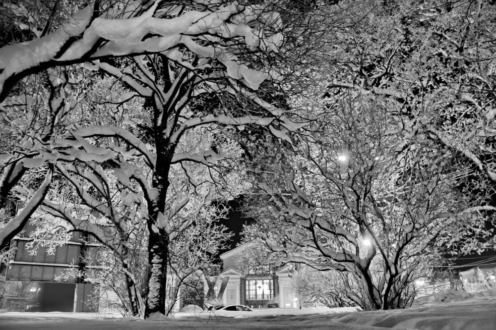 бесцветная утренняя весна