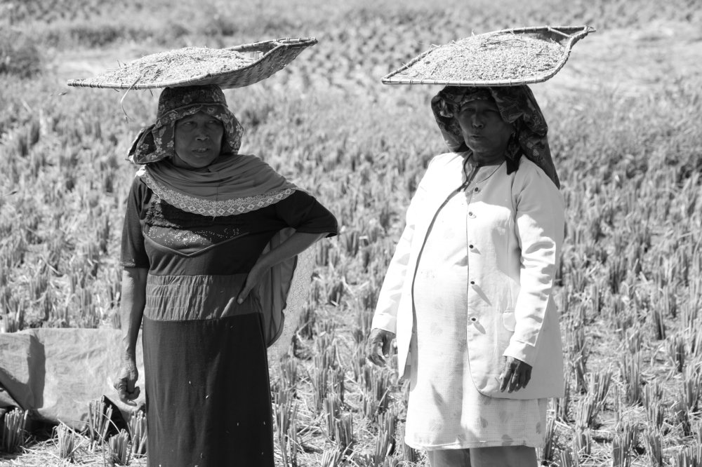 waiting for the wind to blow