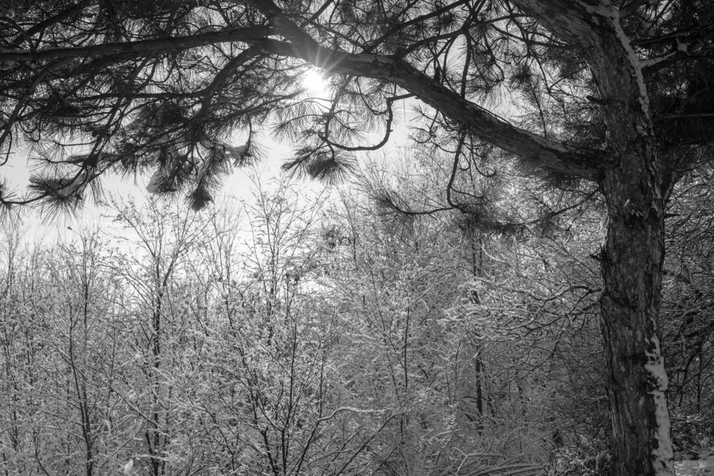 Сыпятся снежинки в солнечных лучах