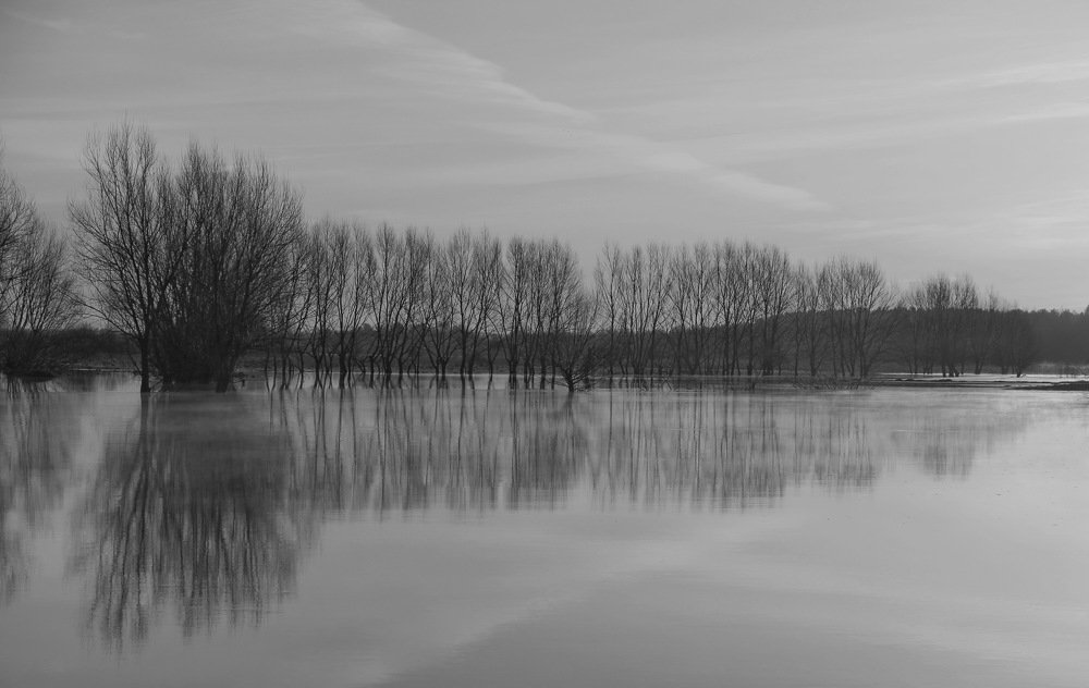 Графика природы