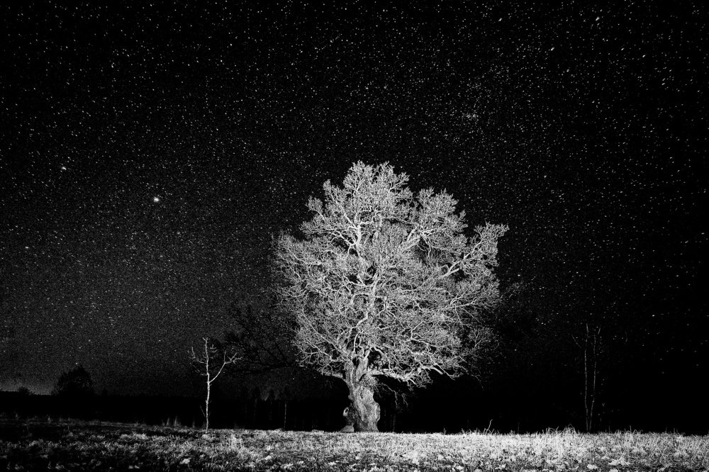 Под звёздами