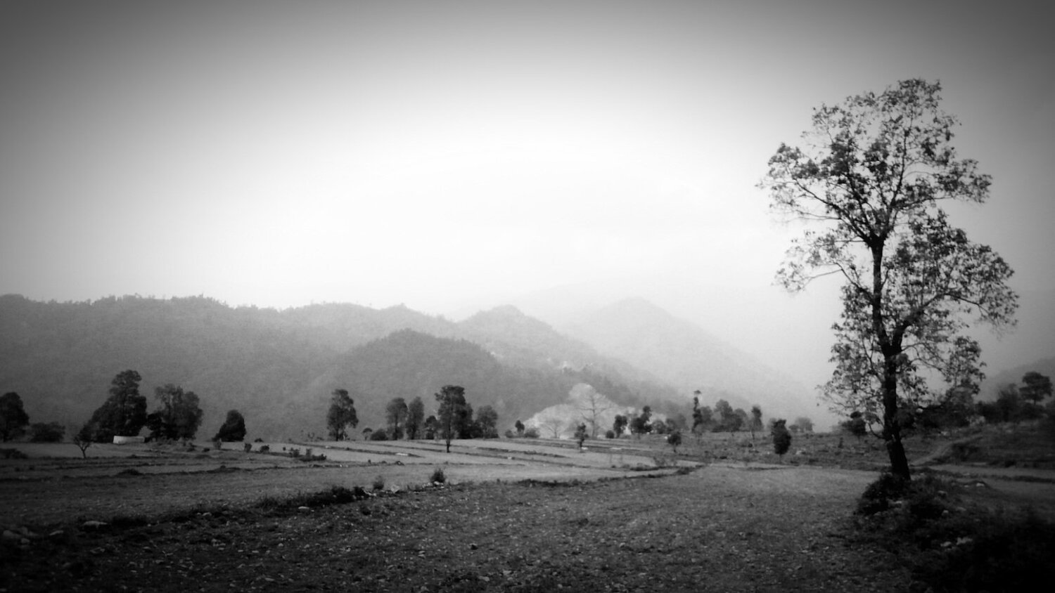 Farm
