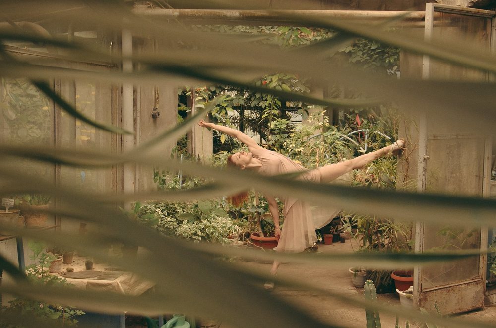 Photograph by Екатерина Чалая