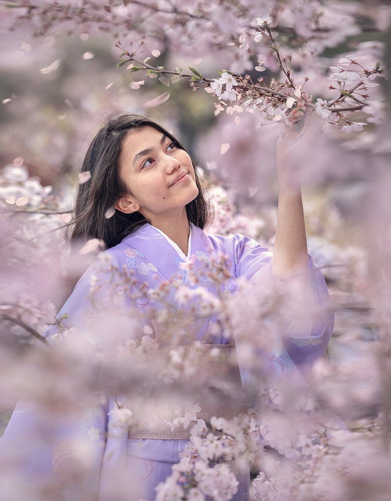 Цветение Сакуры в Японии...