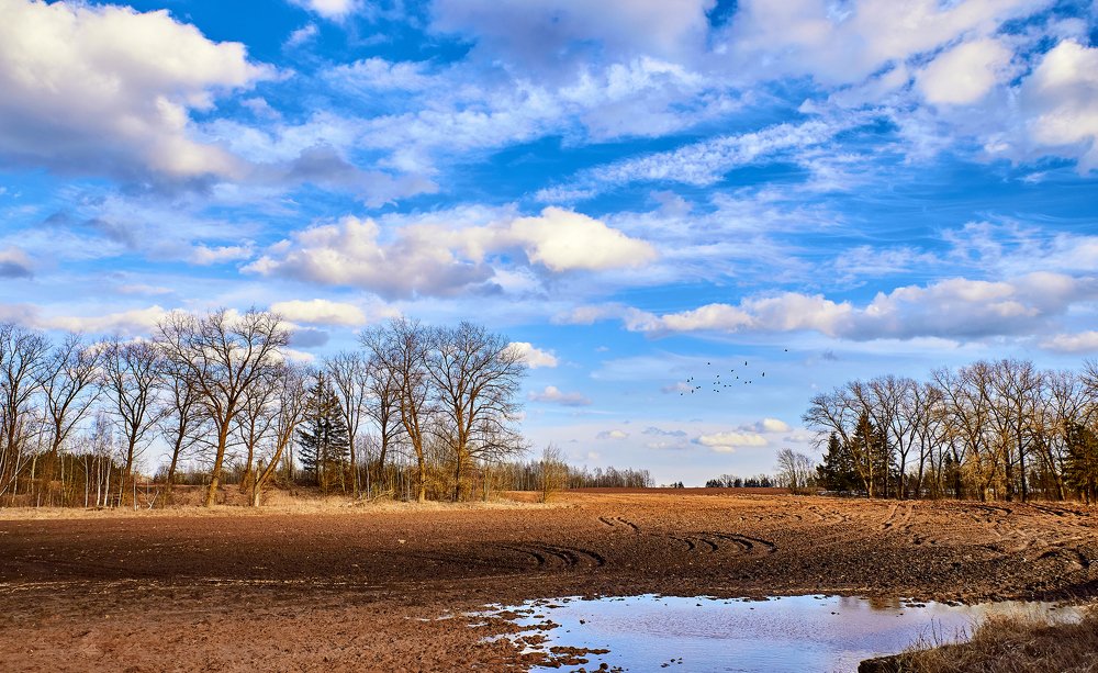 Весна в Беларуси