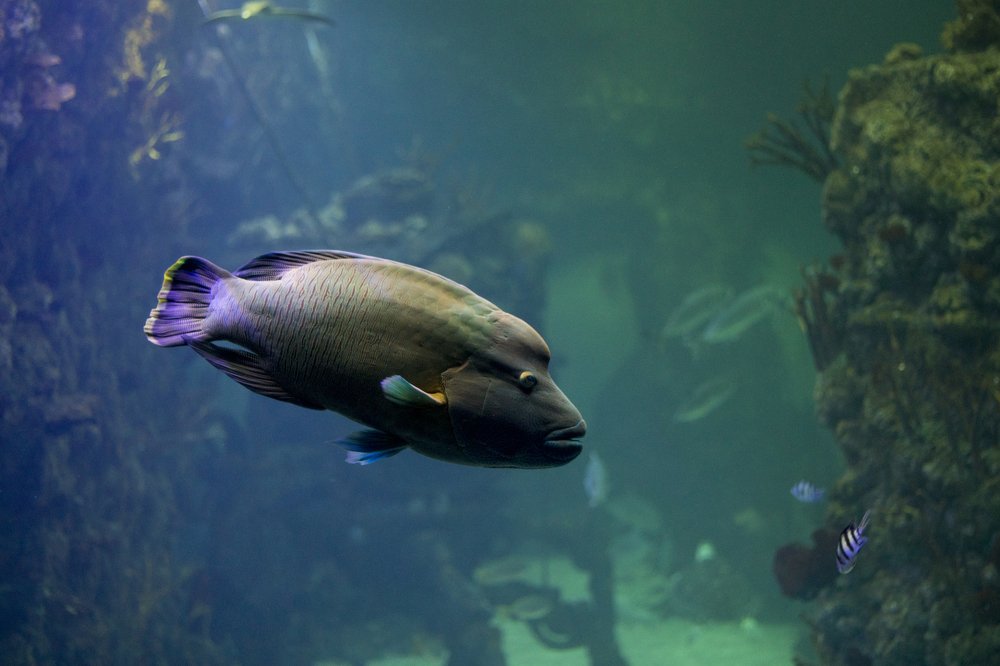 Photograph by Олег