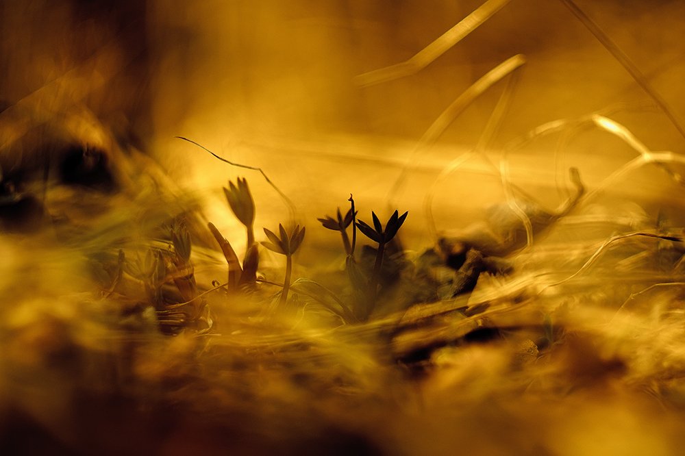 Фотография автора Игорь Иванов