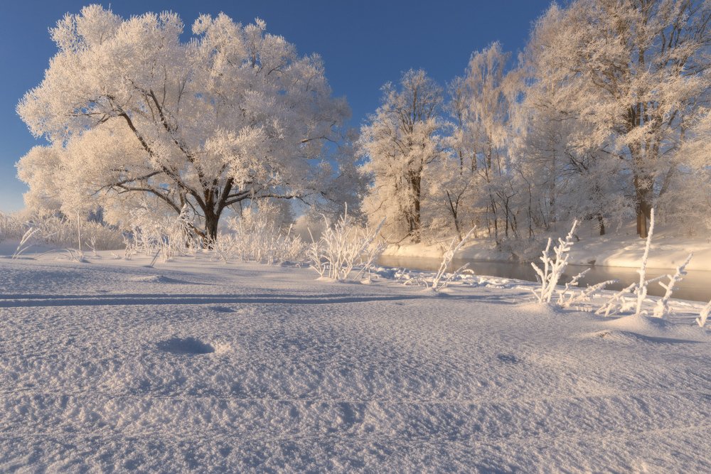 В золотом сиянье дня
