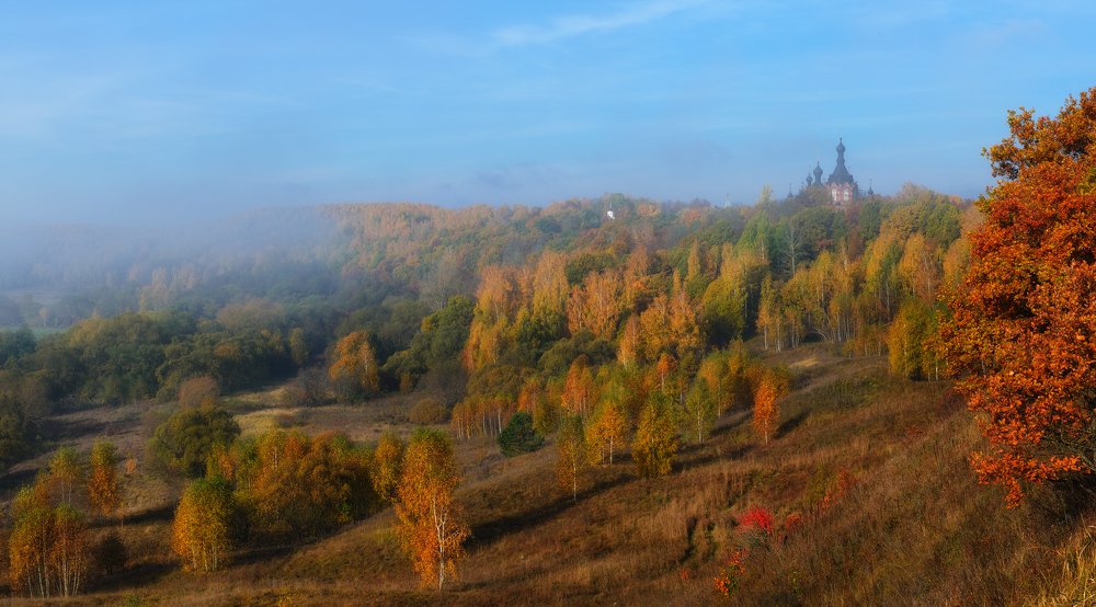 Мягкий плед из желтых листьев.