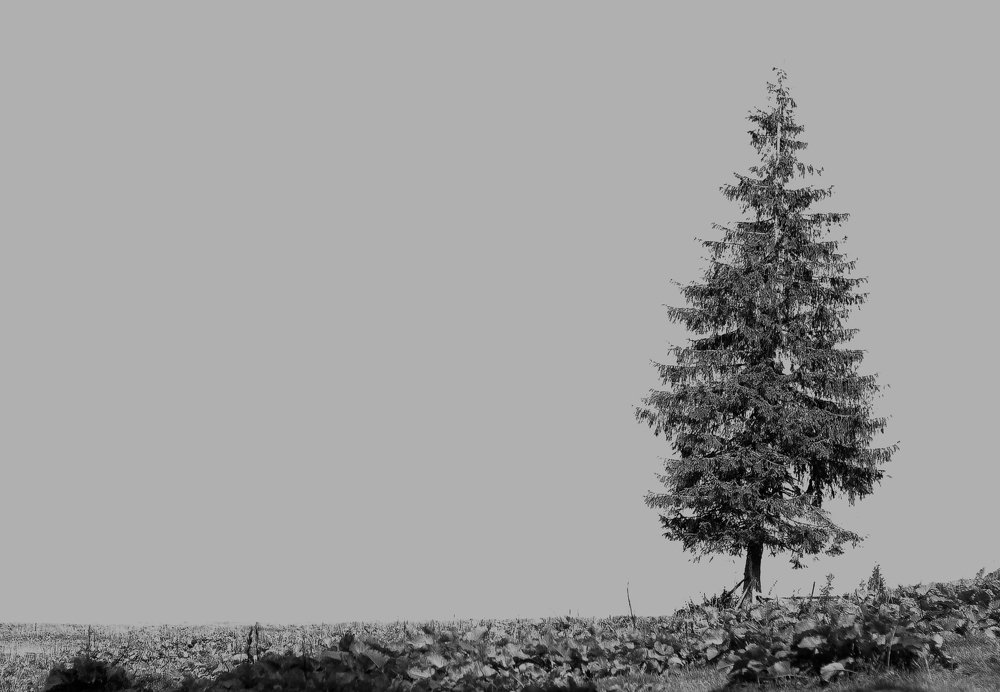 Photograph by Сергей Мордань